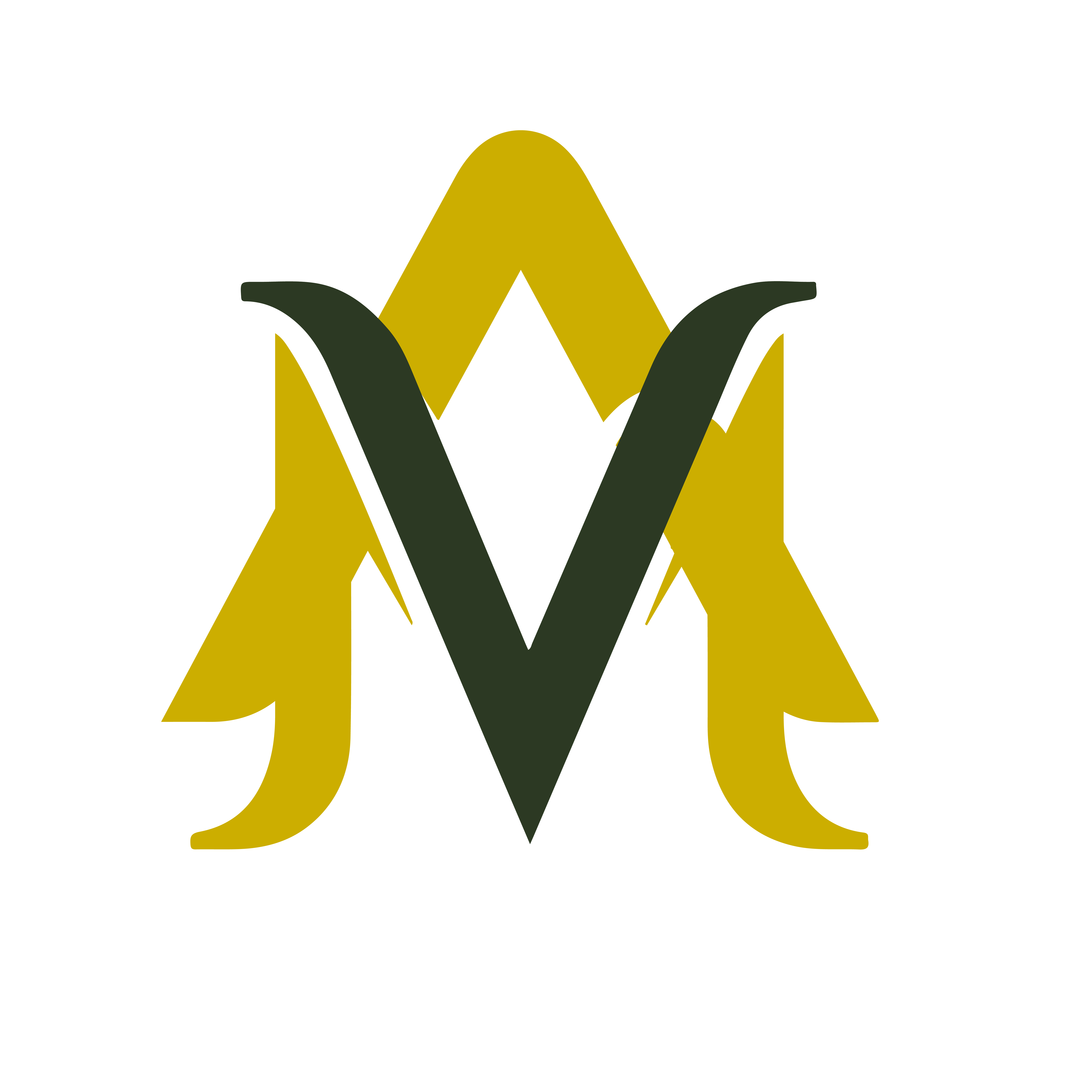 Logo Asesoría Fiscal